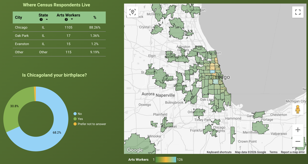 Census Demographic Page Screenshot